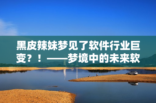 黑皮辣妹梦见了软件行业巨变？！——梦境中的未来软件新技术揭秘！