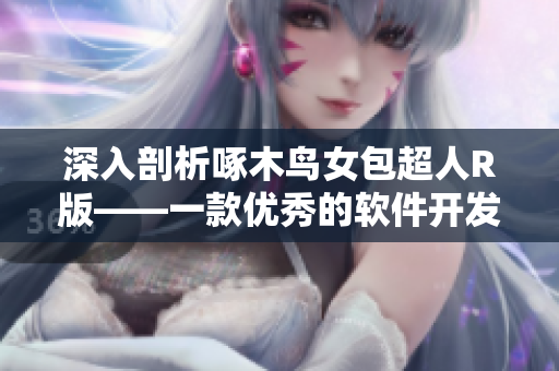 深入剖析啄木鸟女包超人R版——一款优秀的软件开发工具