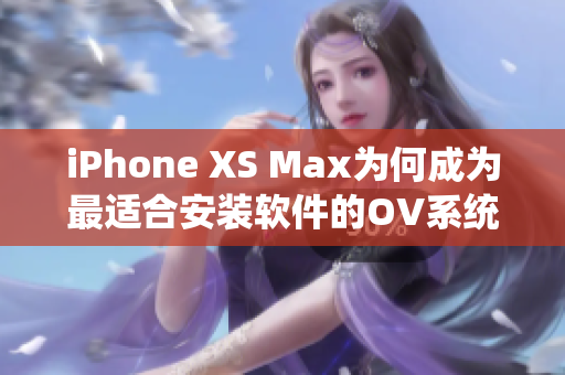 iPhone XS Max为何成为最适合安装软件的OV系统智能手机