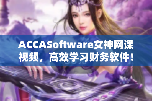 ACCASoftware女神网课视频，高效学习财务软件！