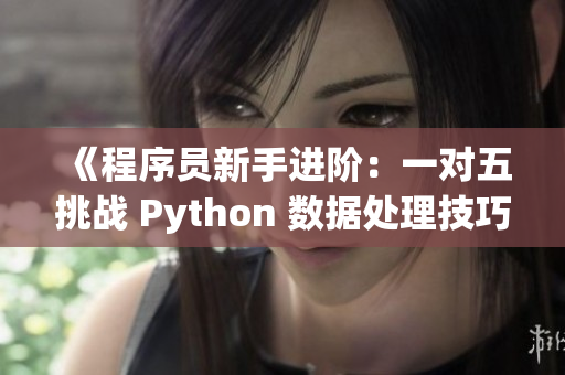 《程序员新手进阶：一对五挑战 Python 数据处理技巧》