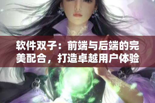 软件双子：前端与后端的完美配合，打造卓越用户体验