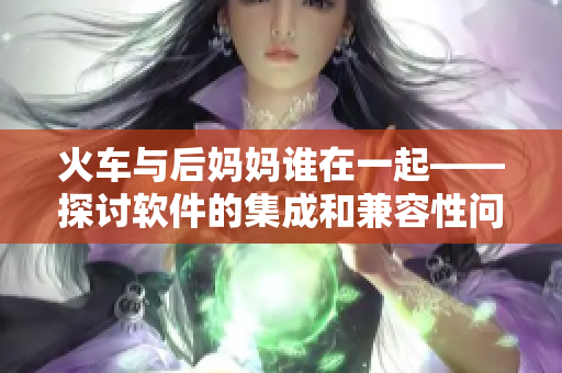 火车与后妈妈谁在一起——探讨软件的集成和兼容性问题