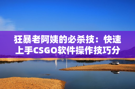 狂暴老阿姨的必杀技：快速上手CSGO软件操作技巧分享