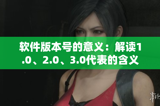 软件版本号的意义：解读1.0、2.0、3.0代表的含义