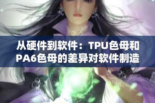 从硬件到软件：TPU色母和PA6色母的差异对软件制造业的影响