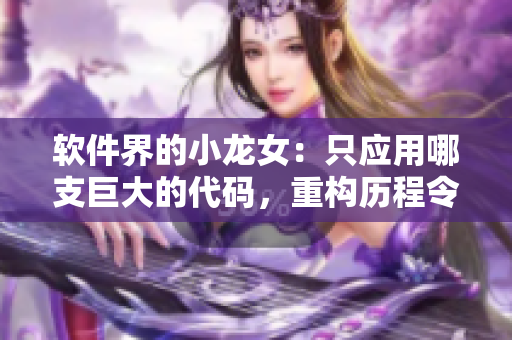 软件界的小龙女：只应用哪支巨大的代码，重构历程令人感悟深刻