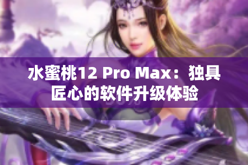 水蜜桃12 Pro Max：独具匠心的软件升级体验