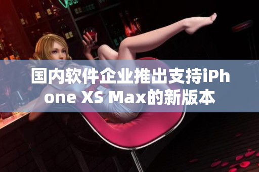 国内软件企业推出支持iPhone XS Max的新版本