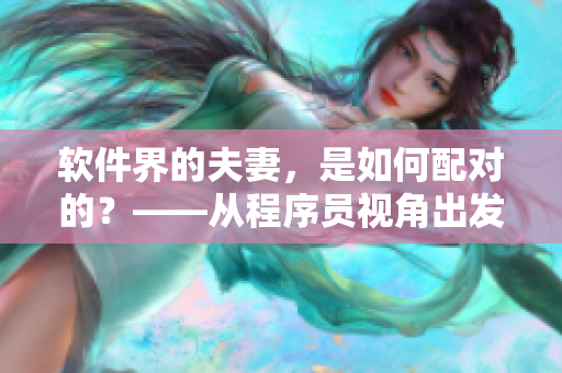 软件界的夫妻，是如何配对的？——从程序员视角出发