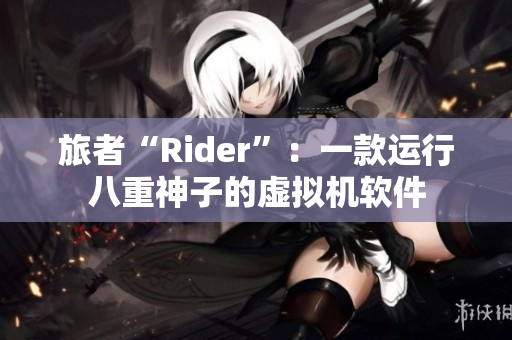 旅者“Rider”：一款运行八重神子的虚拟机软件