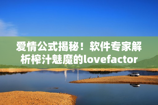 爱情公式揭秘！软件专家解析榨汁魅魔的lovefactor