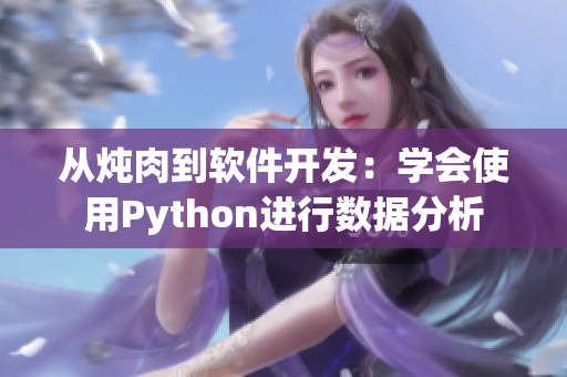 从炖肉到软件开发：学会使用Python进行数据分析